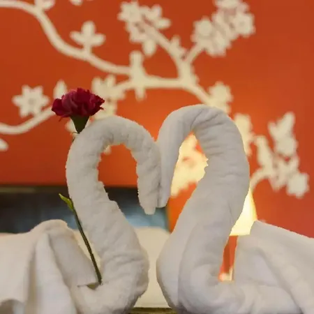 Shalom Appartement *